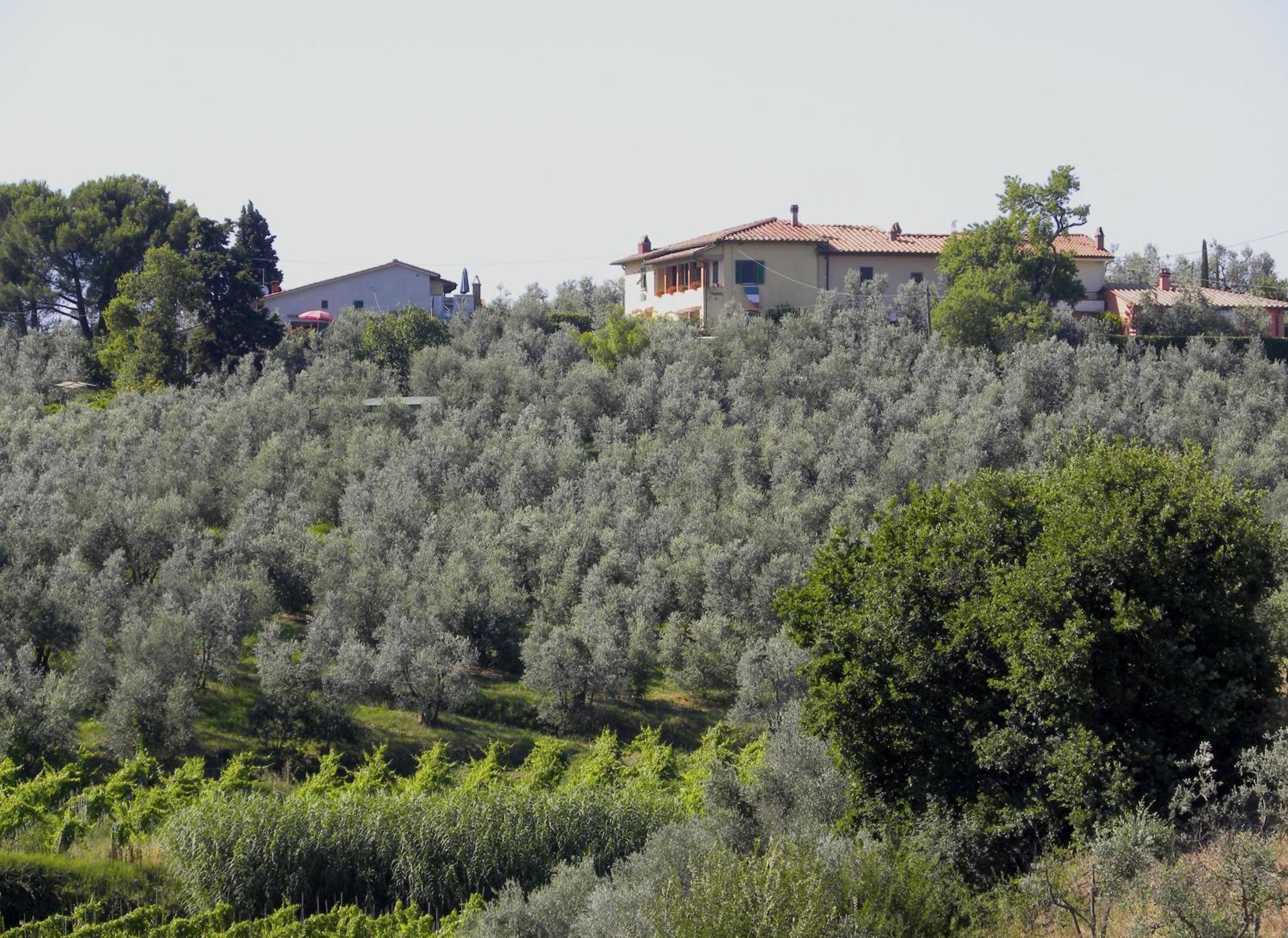 Agriturismo Podere Zollaio Vinci Bilik gambar