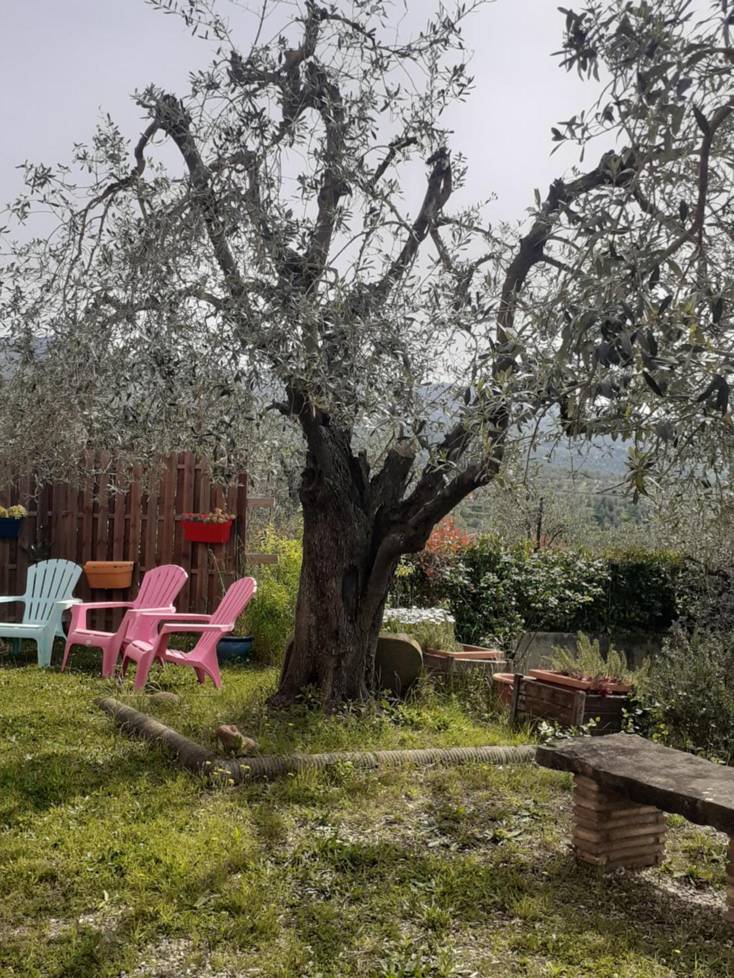 Agriturismo Podere Zollaio Vinci Luaran gambar